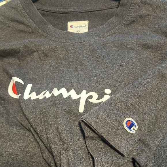 EUC: champion heavyweight, dark, gray T-shirt, men size L - Picture 4 of 5